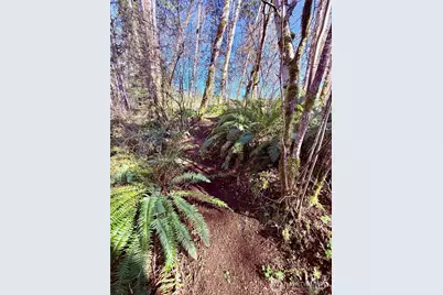 706 Falls Road #35, Randle, WA 98377 - Photo 31