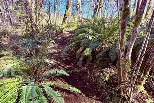 706 Falls Rd, Randle, WA 98377 - Photo 31