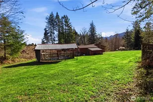 706 Falls Rd, Randle, WA 98377 - Photo 29