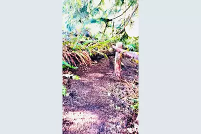 706 Falls Road #35, Randle, WA 98377 - Photo 33