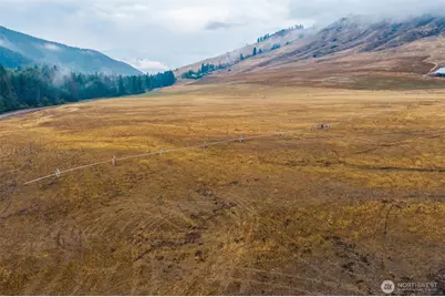 361 Lone Ranch Creek Rd, Danville, WA 99121 - Photo 27