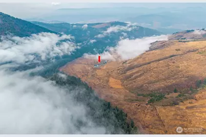 361 Lone Ranch Creek Rd, Danville, WA 99121 - Photo 33