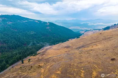 361 Lone Ranch Creek Rd, Danville, WA 99121 - Photo 31