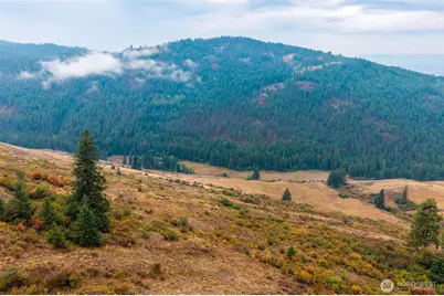 361 Lone Ranch Creek Rd, Danville, WA 99121 - Photo 25