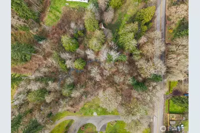 257 NE Old Belfair Hwy, Belfair, WA 98528 - Photo 11