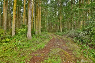0 Xxx Mutiny Bay Road, Freeland, WA 98249 - Photo 1