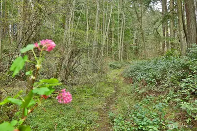 0 Xxx Mutiny Bay Road, Freeland, WA 98249 - Photo 11