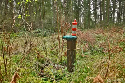 0 Xxx Mutiny Bay Road, Freeland, WA 98249 - Photo 3