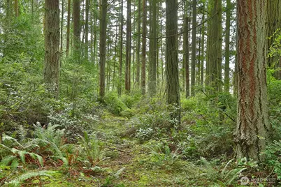 0 Xxx Mutiny Bay Road, Freeland, WA 98249 - Photo 5