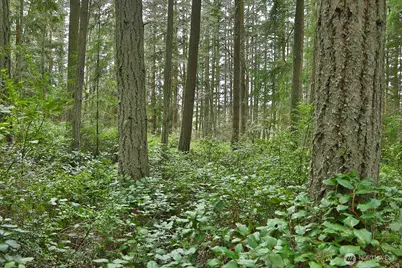 0 Xxx Mutiny Bay Road, Freeland, WA 98249 - Photo 15