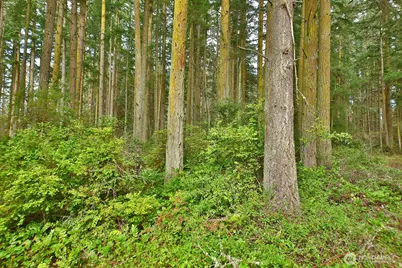 0 Xxx Mutiny Bay Road, Freeland, WA 98249 - Photo 7