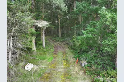 0 Xxx Mutiny Bay Road, Freeland, WA 98249 - Photo 17