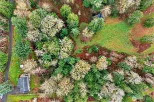 6013 98th St NW, Marysville, WA 98271 - Photo 37