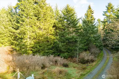261 Aloha Place Lot #2, Coupeville, WA 98239 - Photo 3