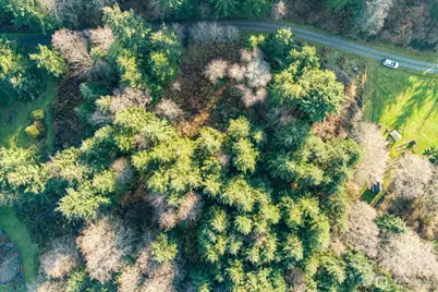 261 Aloha Place Lot #2, Coupeville, WA 98239 - Photo 5