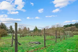 20807 Orville Rd E, Orting, WA 98360 - Photo 29