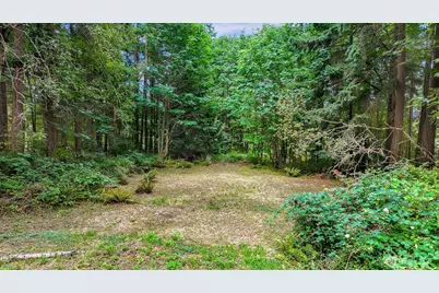 3717 Toad Lake Road, Bellingham, WA 98226 - Photo 39