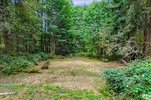 3717 Toad Lake Rd, Bellingham, WA 98226 - Photo 39