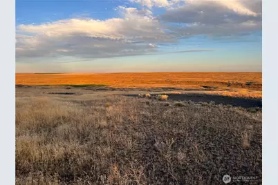 45 Eagle Springs Ranch, Wilson Creek, WA 98860 - Photo 1