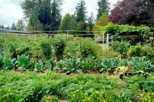 24609 Florence Acres Rd, Monroe, WA 98272 - Photo 37