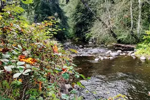 24609 Florence Acres Rd, Monroe, WA 98272 - Photo 33