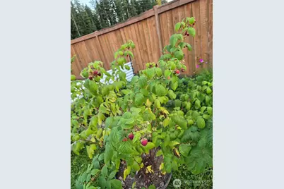 8365 Golden Valley Boulevard, Maple Falls, WA 98266 - Photo 25