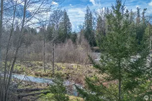 346 Dungeness Meadows, Sequim, WA 98382 - Photo 31