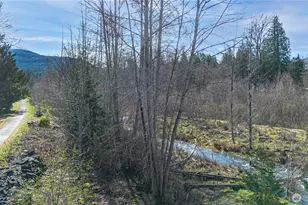 346 Dungeness Meadows, Sequim, WA 98382 - Photo 33