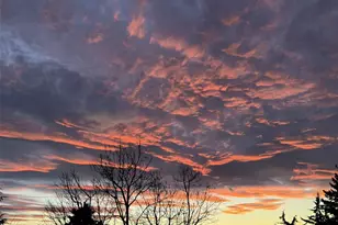 6507 113th Ave NE, Kirkland, WA 98033 - Photo 13