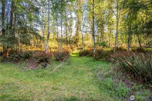 460 Cornell Rd, Toutle, WA 98649 - Photo 7