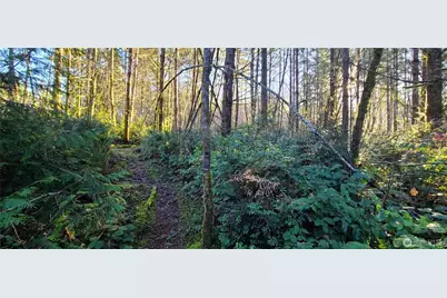 0 Cornwall Road NW, Lakebay, WA 98349 - Photo 7