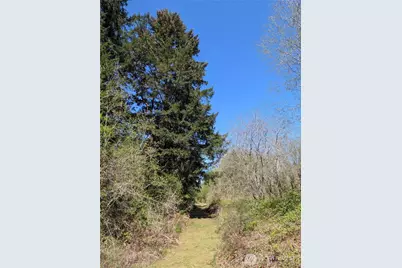 0 Cornwall Road NW, Lakebay, WA 98349 - Photo 13