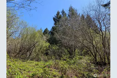 0 Cornwall Road NW, Lakebay, WA 98349 - Photo 5