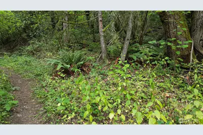 116 Xx 198th Ave SE, Issaquah, WA 98027 - Photo 7