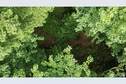 116 Xx 198th Ave SE, Issaquah, WA 98027 - Photo 9