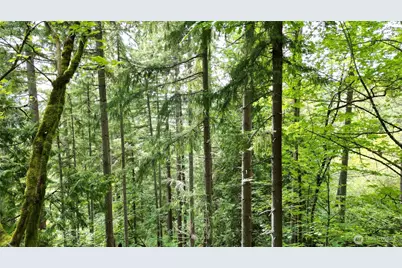 116 Xx 198th Ave SE, Issaquah, WA 98027 - Photo 3