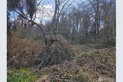 18599 SE 136th St, Renton, WA 98059 - Photo 3