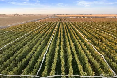 0 Road 9 NW, Quincy, WA 98848 - Photo 7