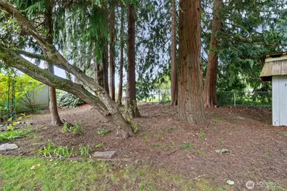4514 26th Avenue SE, Lacey, WA 98503 - Photo 21