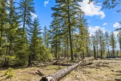 126 Lot Wanawish, Cle Elum, WA 98922 - Photo 5