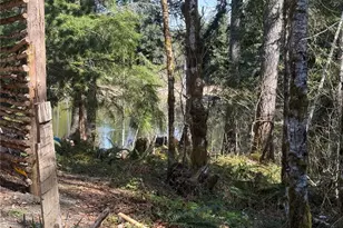 961 N Potlatch Dr, Hoodsport, WA 98548 - Photo 31