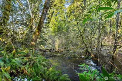0 Libby Road NE, Olympia, WA 98506 - Photo 3