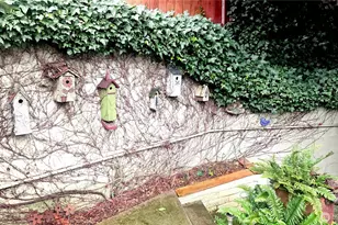 6234 NE 182nd St, Kenmore, WA 98028 - Photo 19