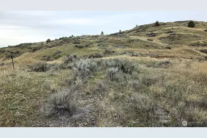 174 Round Up Road, Oroville, WA 98844 - Photo 11