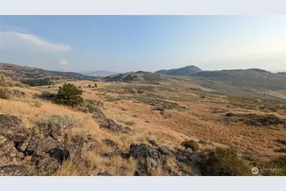 174 Round Up Road, Oroville, WA 98844 - Photo 3