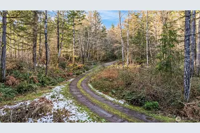 16506 118th Street NW, Gig Harbor, WA 98329 - Photo 15