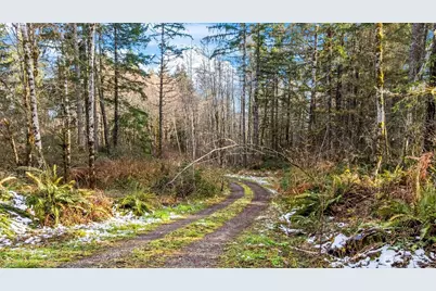 16506 118th Street NW, Gig Harbor, WA 98329 - Photo 9