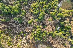 16506 118th St NW, Gig Harbor, WA 98329 - Photo 17