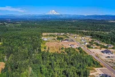 715 390th Street S, Roy, WA 98580 - Photo 11