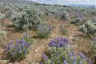 3 A Lester Rd, Ellensburg, WA 98926 - Photo 5